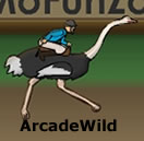 Ostrich Racer