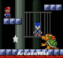 Super Mario Save Sonic