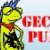 Gecko Punk