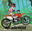 Stunt Dirt Bike 2