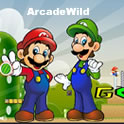 Mario Luigi Adventure